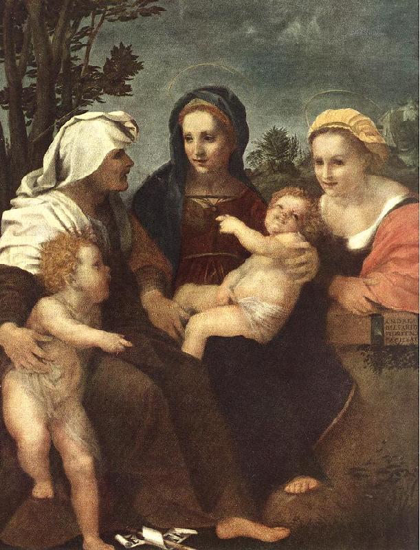 Andrea del Sarto Madonna and Child with Sts Catherine, Elisabeth and John the Baptist Sweden oil painting art